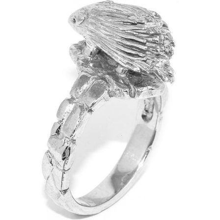 Кольцо Ракушка из серебра (арт. 908567)