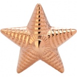 Звезда для погон из серебра с позолотой (арт. 839415)