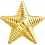 Звезда для погон из жёлтого золота (арт. 866878)