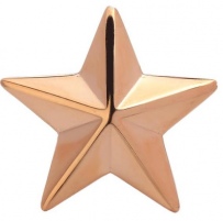Звезда для погон из серебра с позолотой (арт. 839360)